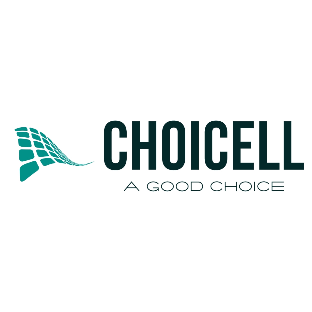 Logo CHISAGE ESS Agente Choicell